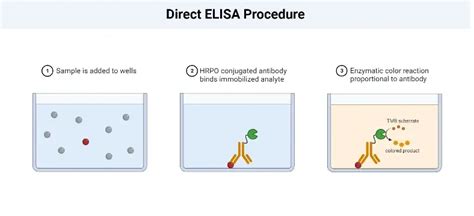 elisa test notes pdf|elisa technique steps.